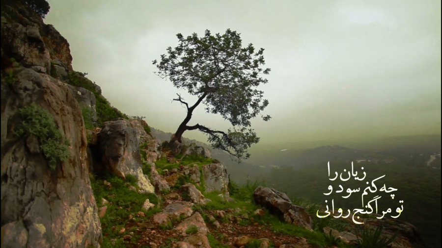 مست عشق