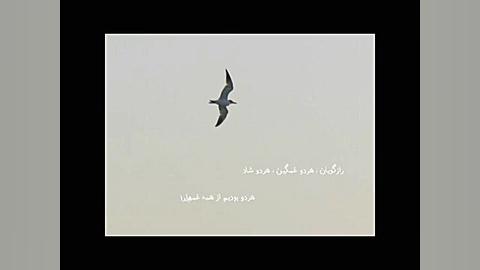 سایه ها