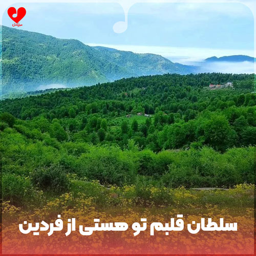 سلطان قلبم تو هستی