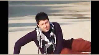 قمری های دلم