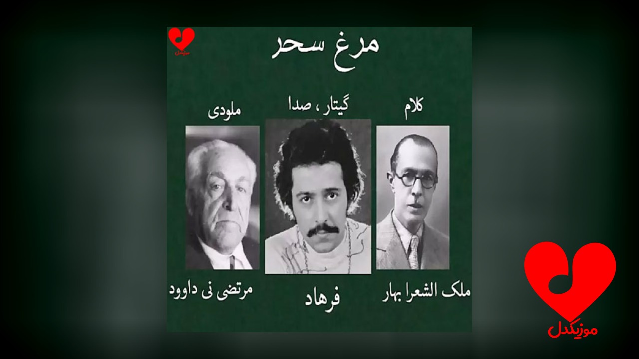 مرغ سحر