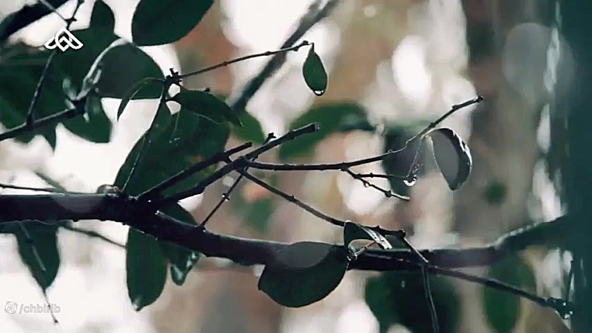 داره بارون میاد