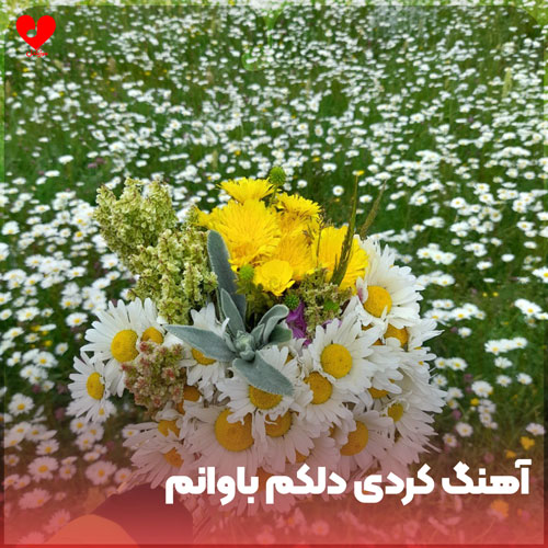 کردی دلکم باوانم