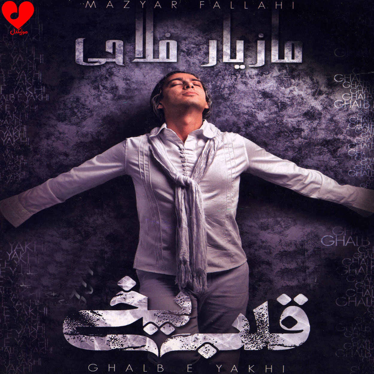 قلب یخی