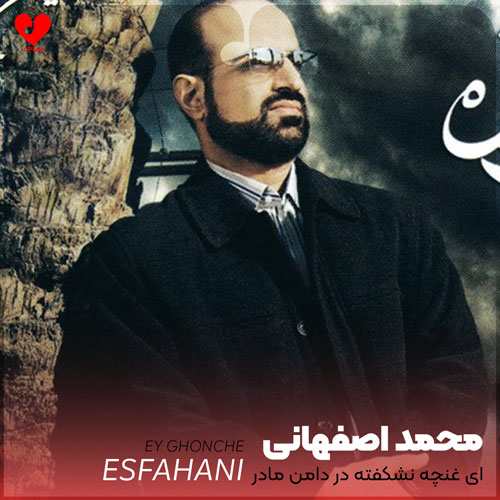 نوحه ای غنچه نشکفته