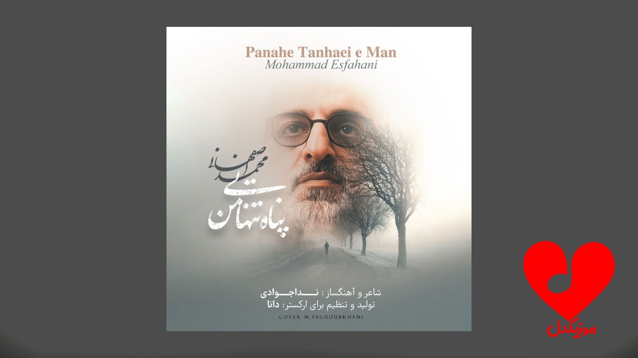 پناه تنهایی من شانه