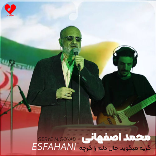 گریه میگوید حال دلم