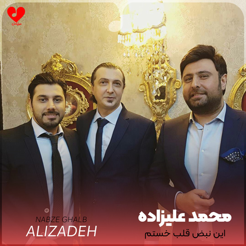 این نبض قلب خستم
