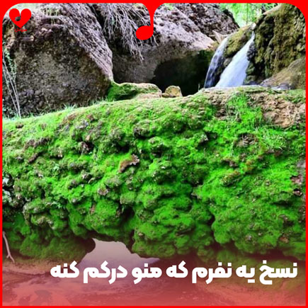 نسخ یه نفرم که