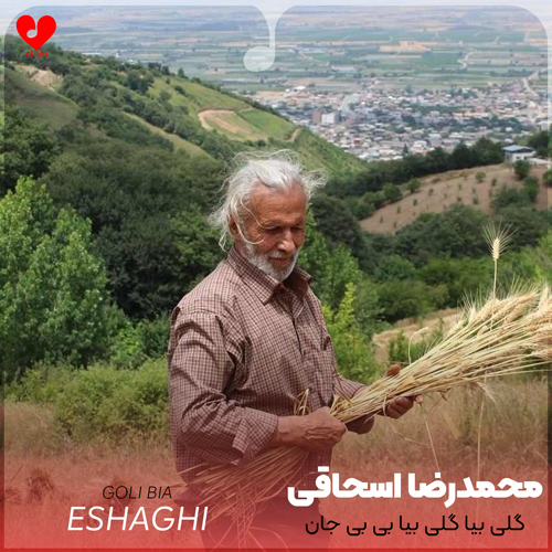 گلی بیا گلی بیا