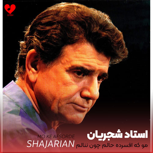 آواز دشتی ای دل