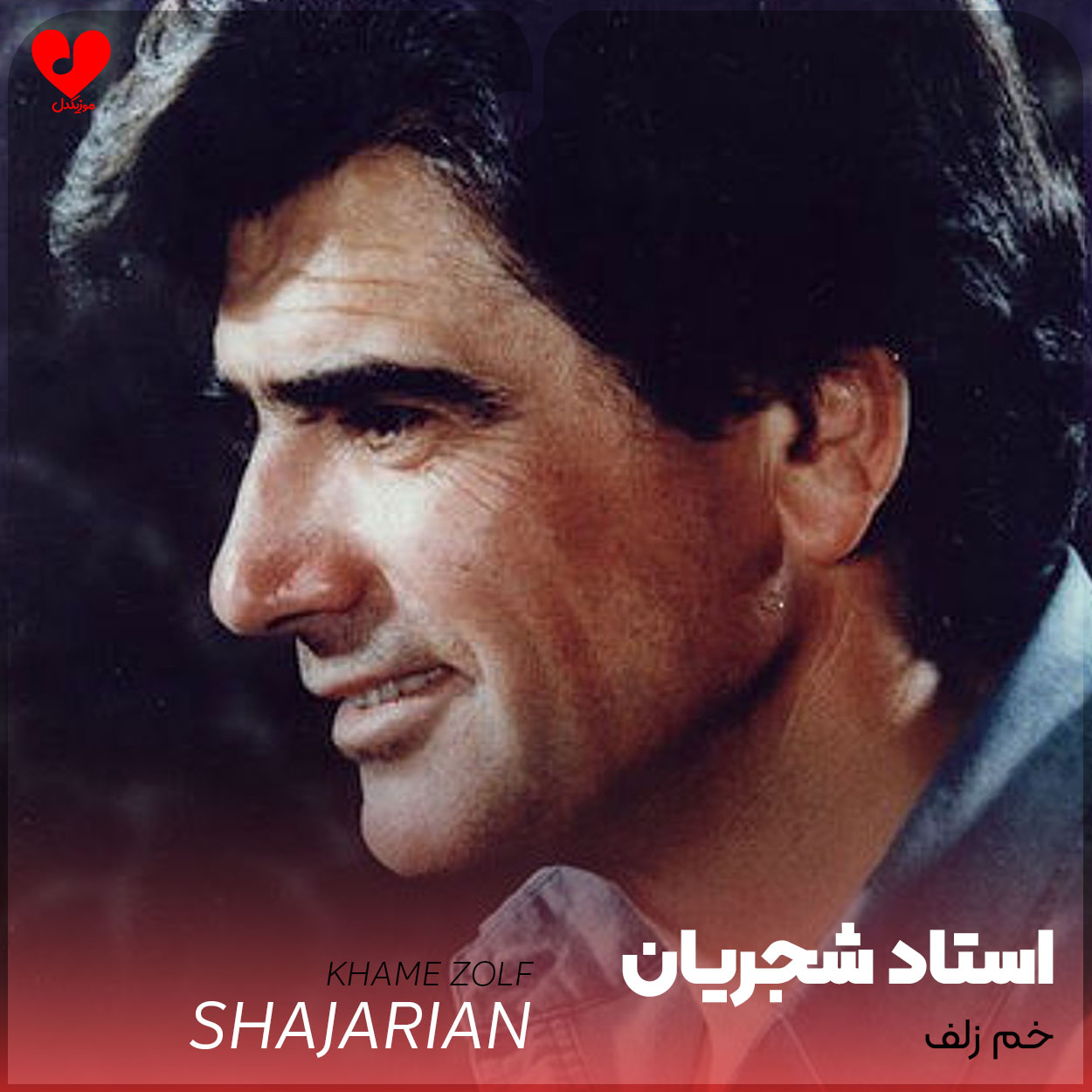 خم زلف