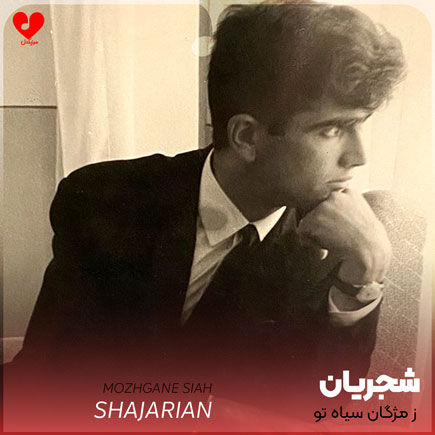ز مژگان سیاه تو