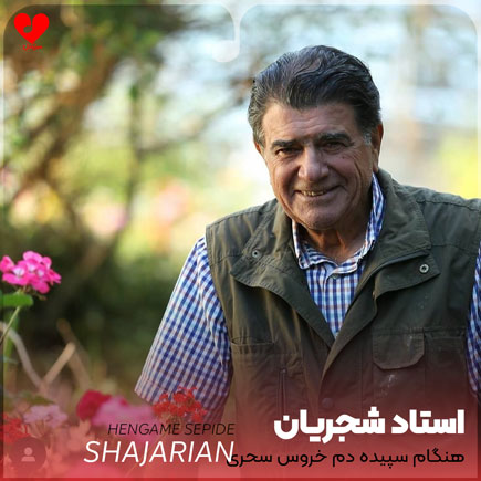 هنگام سپیده دم خروس سحری