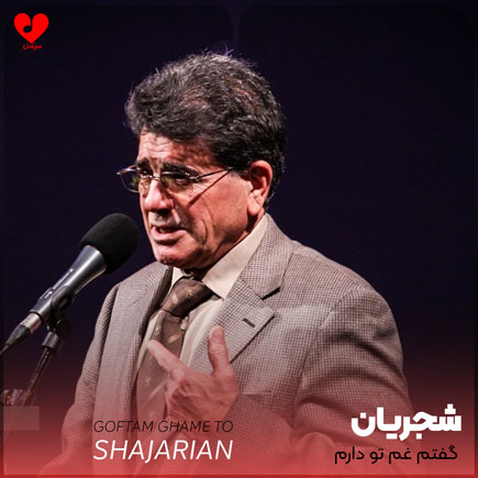 گفتم غم تو دارم