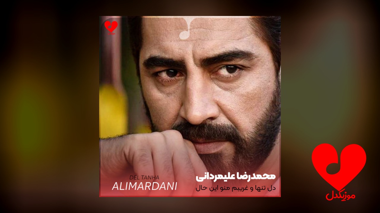 دل تنها و غریبم