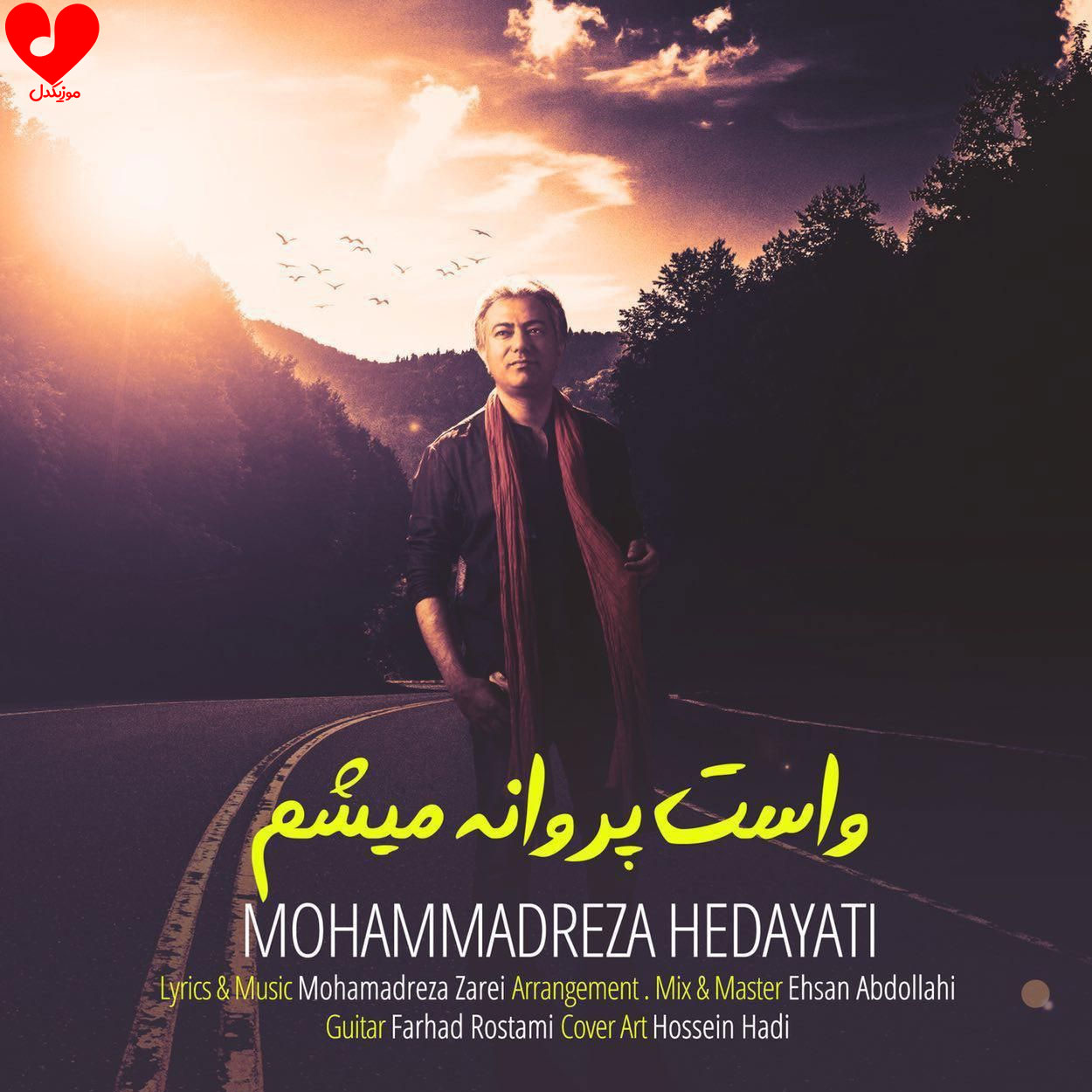 واست پروانه میشم