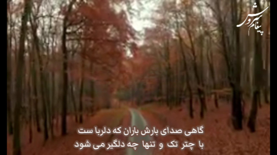 چه شود
