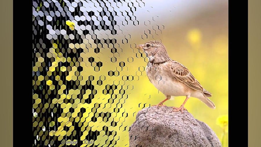آغوش خدا