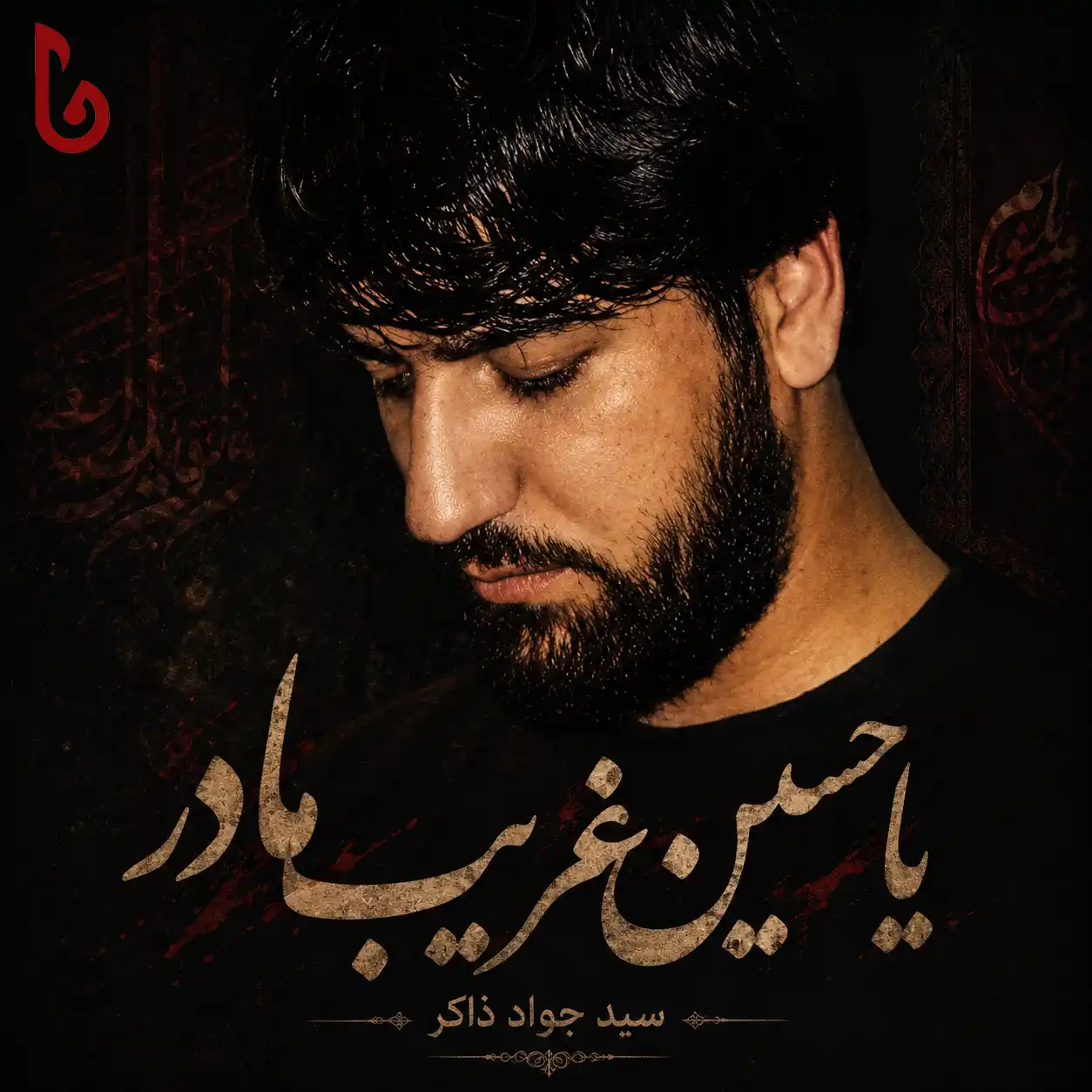 حسرت زیارت تو