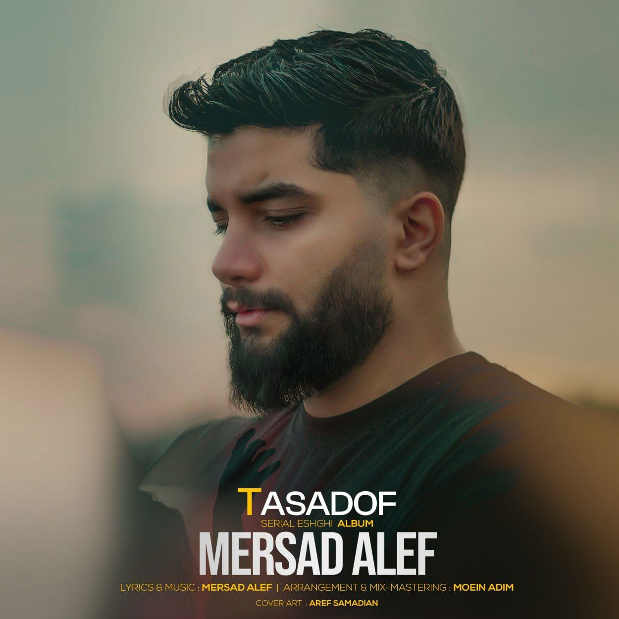 تصادف