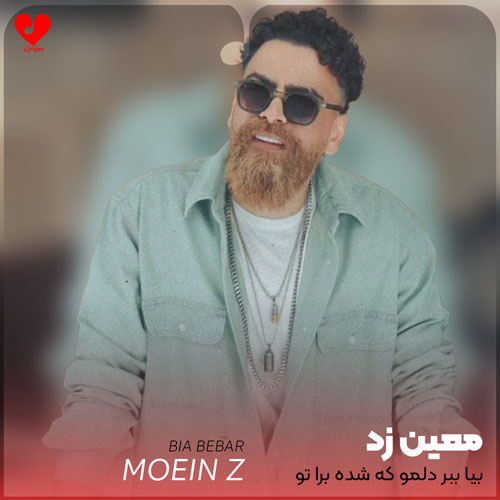بیا ببر دلمو که