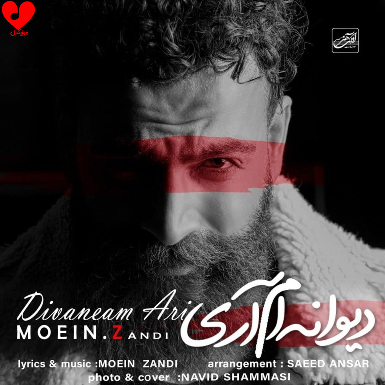 دیوانه ام آری