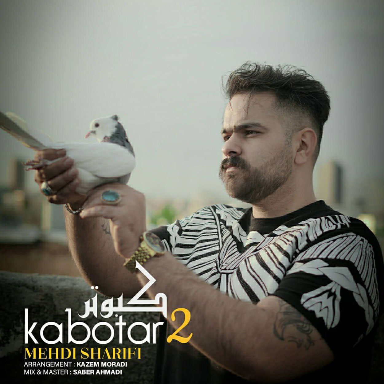 کبوتر 2