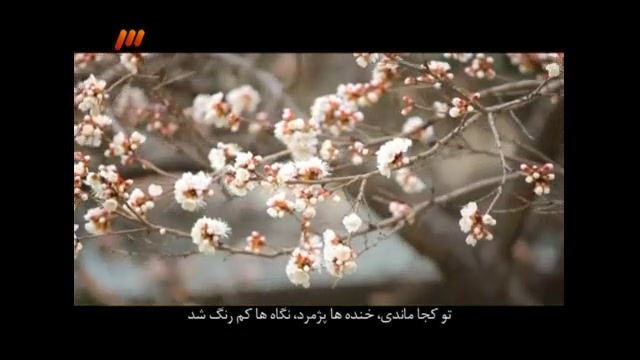 ستاره