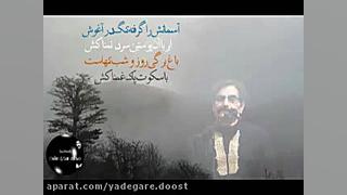 باغ بی برگی