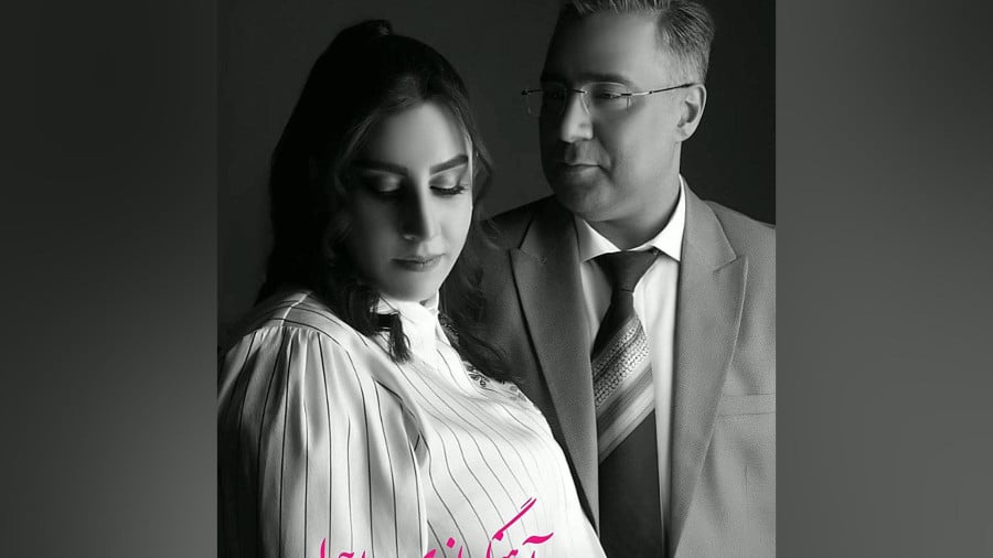 هوادار