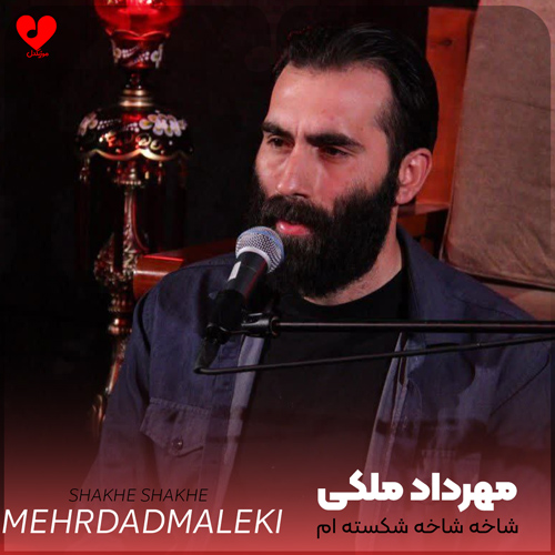 مداحی شاخه شاخه شکسته ام