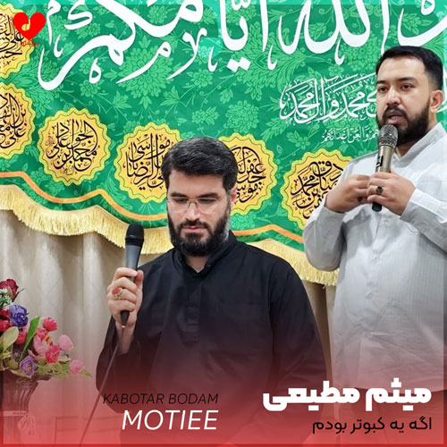 مداحی اگه یه کبوتر بودم