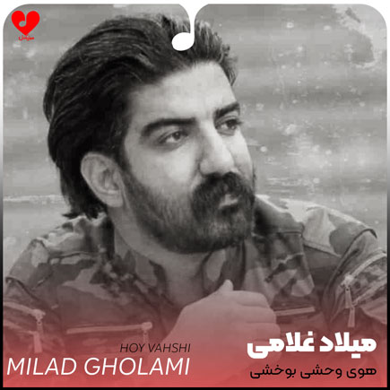 هوی وحشی بوخشی