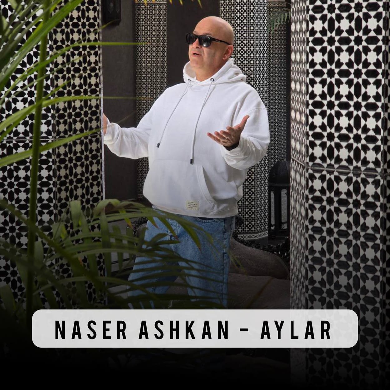 آیلار