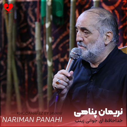 مداحی خداحافظ ای جوانی زینب