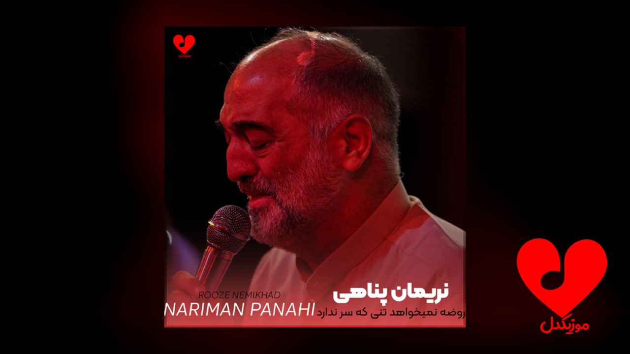 مداحی روضه نمیخواهد تنی