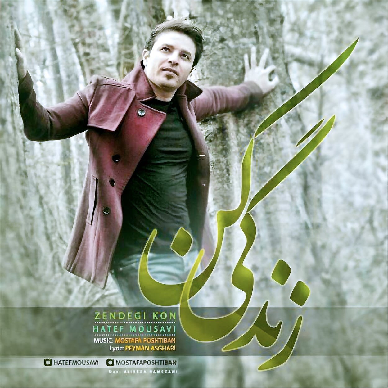 زندگی کن