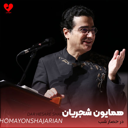 در حصار شب
