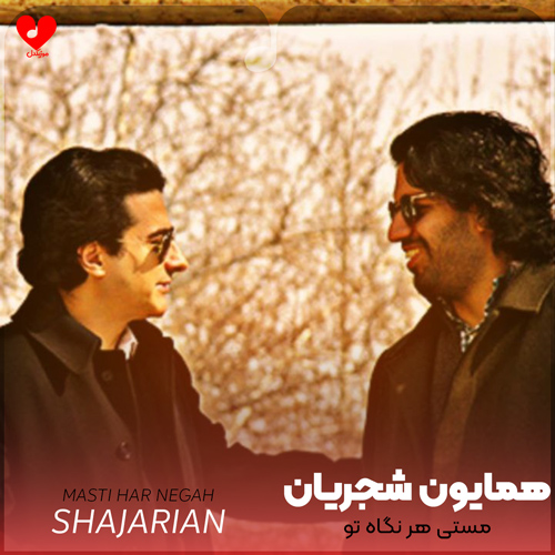 مستی هر نگاه تو
