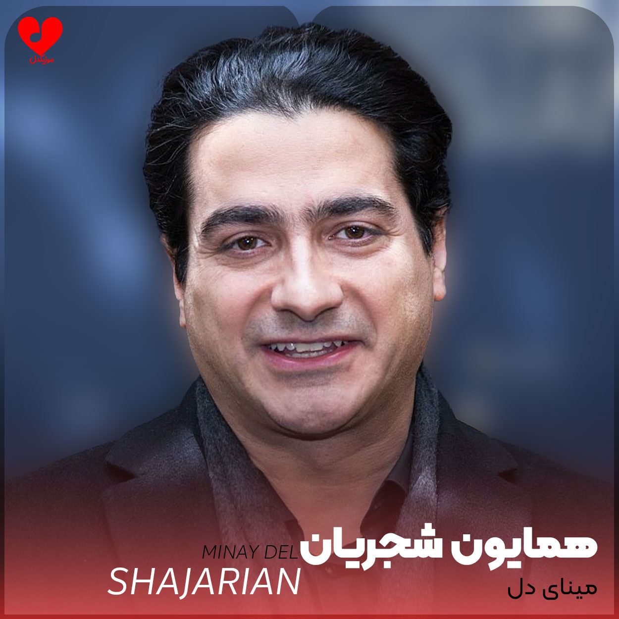 مینای دل