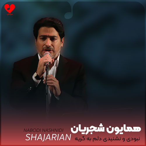 نبودی و نشنیدی دلم