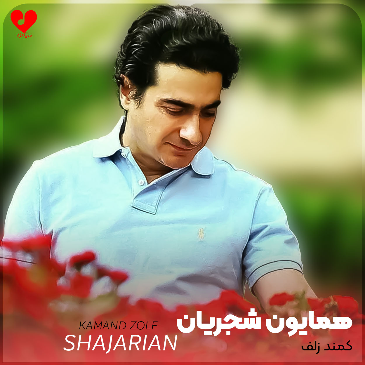 کمند زلف