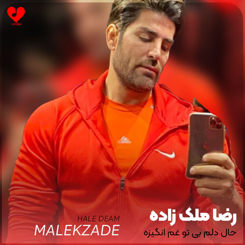 حال دلم بی تو