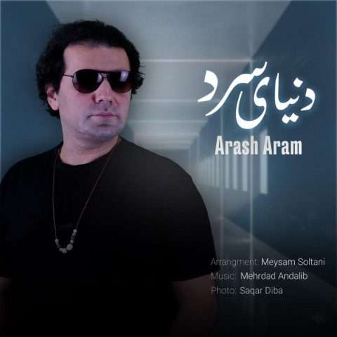 آرش آرام دنیای سرد