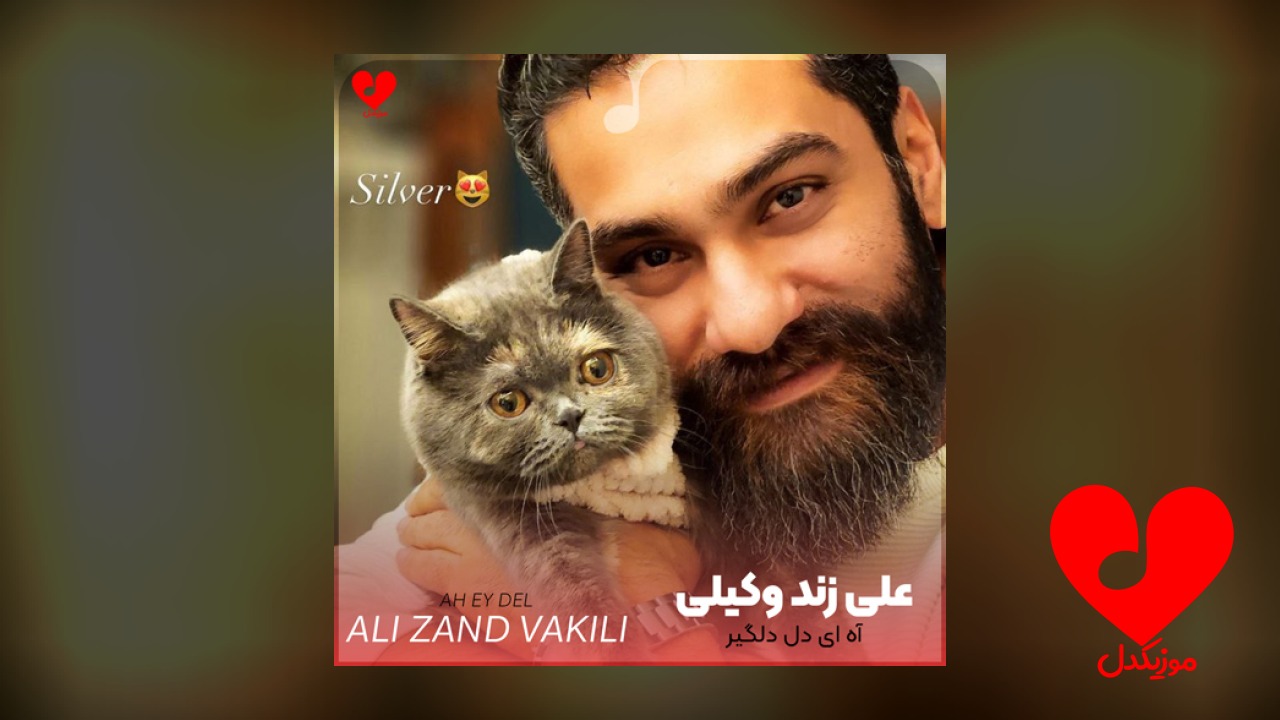 آه ای دل دلگیر