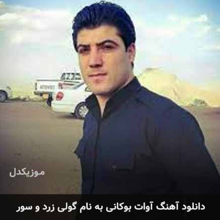 آوات بوکانی گولی زرد و سور