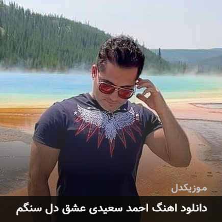 احمد سعیدی عشق دل
