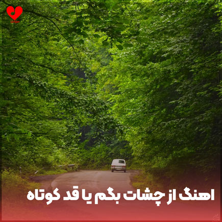 از چشات بگم یا قد کوتاه