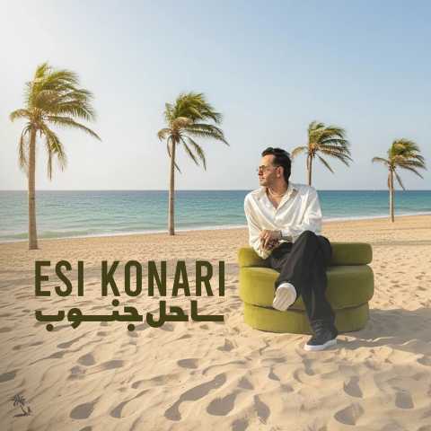 اسی کناری ساحل جنوب